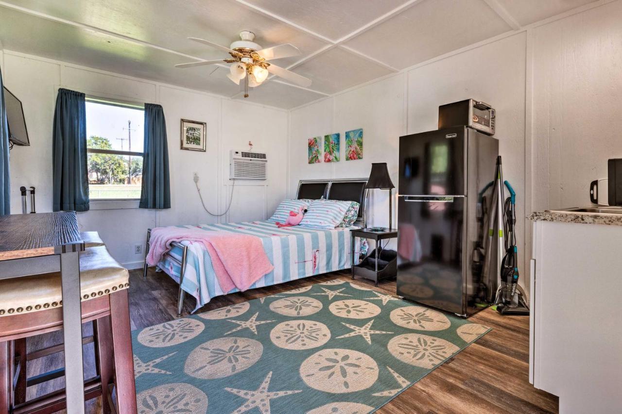Flirty Flamingo Studio 1 Mi To Canyon Lake Extérieur photo