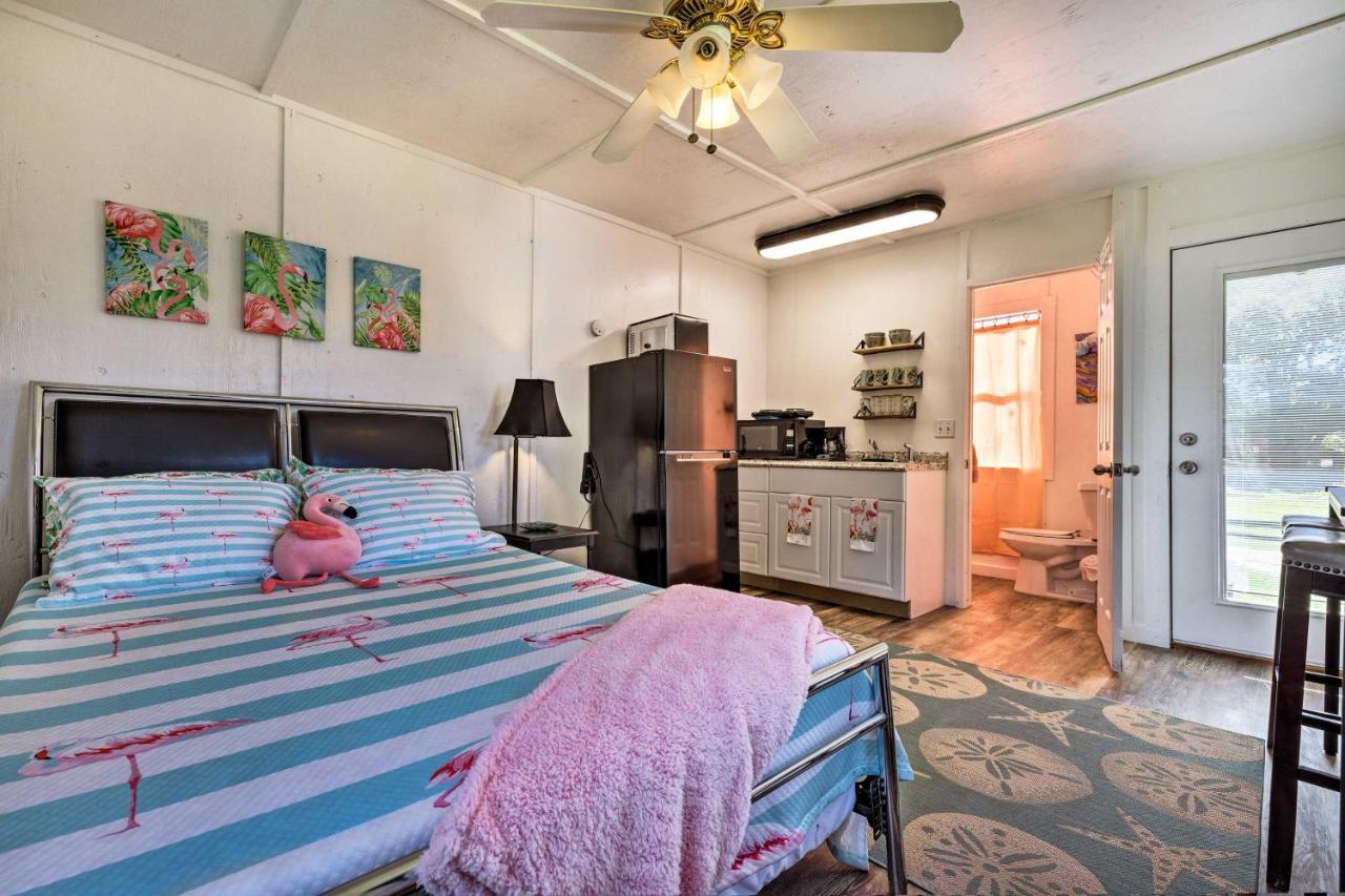 Flirty Flamingo Studio 1 Mi To Canyon Lake Extérieur photo