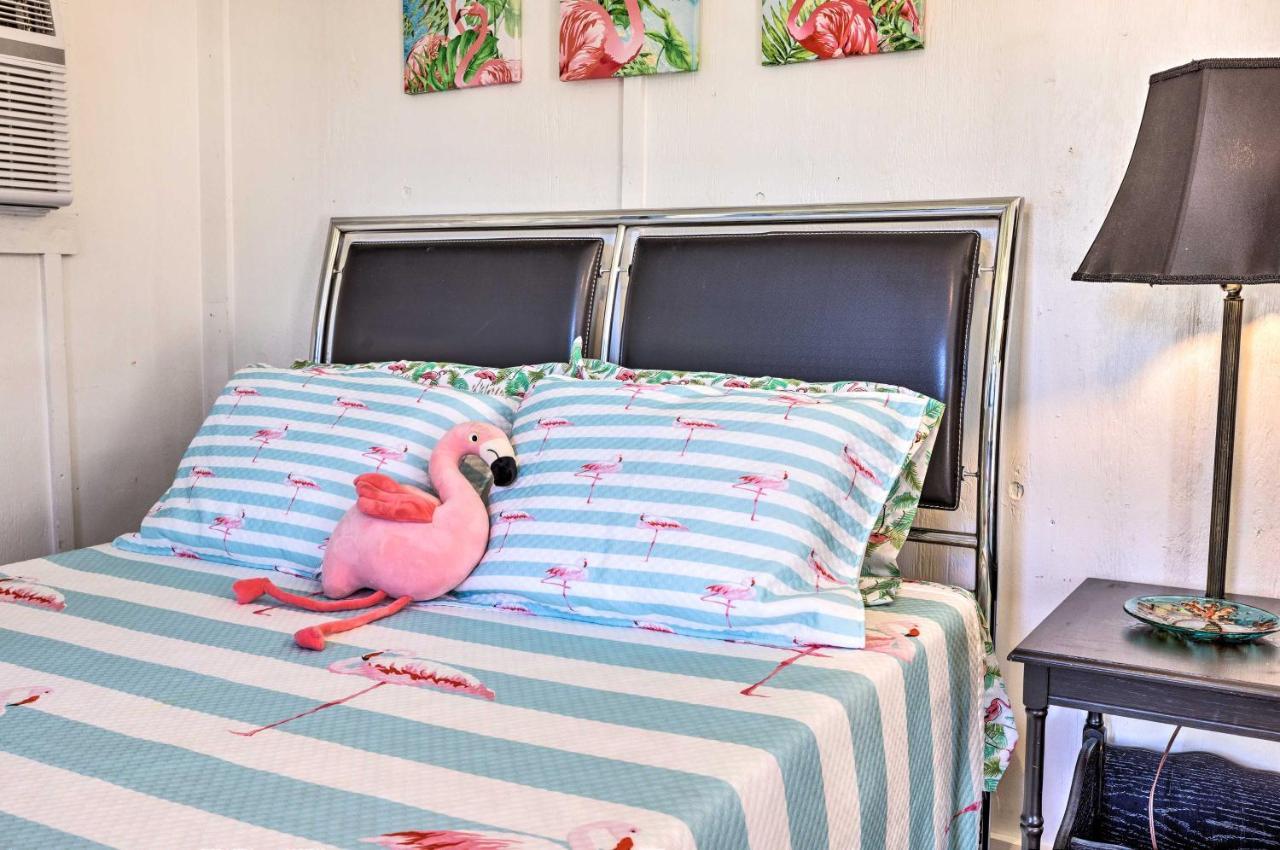 Flirty Flamingo Studio 1 Mi To Canyon Lake Extérieur photo